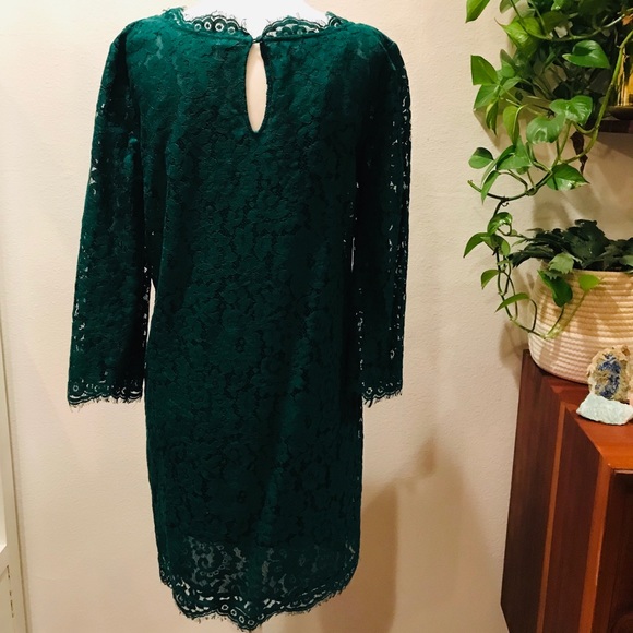 Joie Portia Dress - Picture 5 of 6